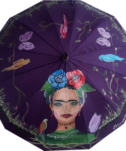 PARAGUAS PINTADOS