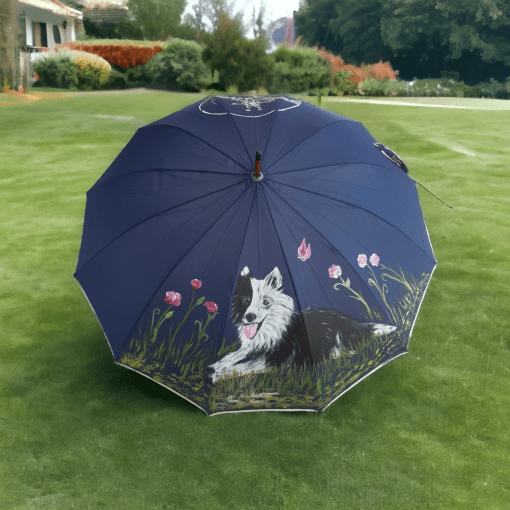BODER COLLIE